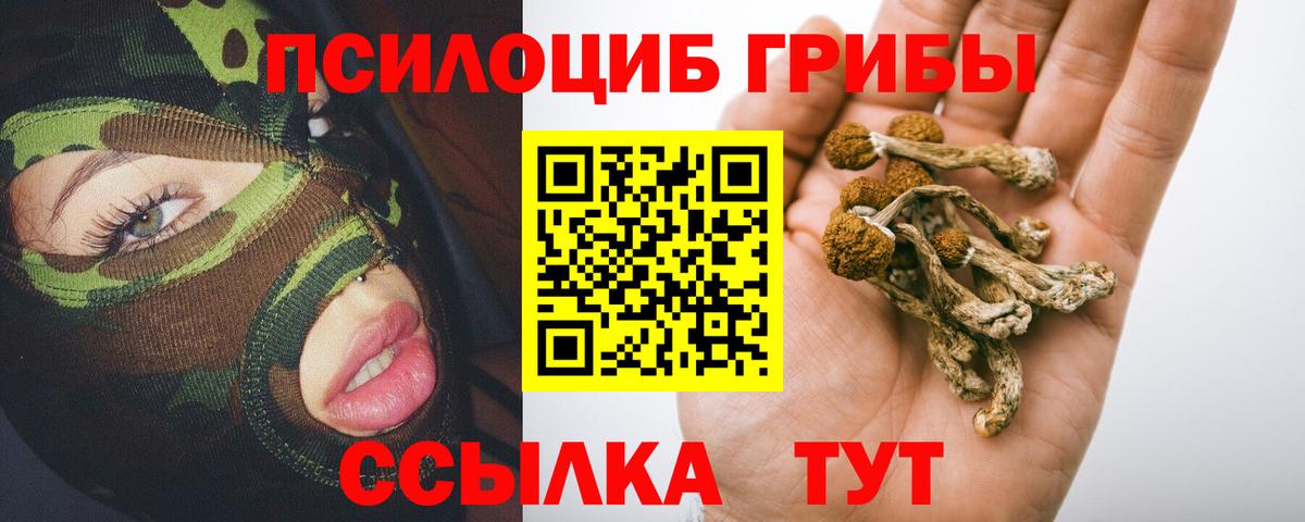 Псилоцибиновые грибы Psilocybe Спасск-Дальний